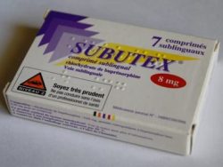 Subutex (Generic Buprenorphine Sublingual and Buccal (opioid dependence))